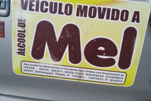 Apis Jordans em tempos de falta de Combustível Apis Jordans em tempos de falta de Combustível